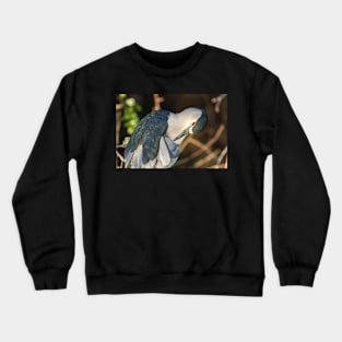 Preening Heron Crewneck Sweatshirt